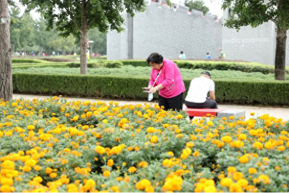 中秋国庆游京郊｜打卡“北京网红打卡地”——顺义区篇
