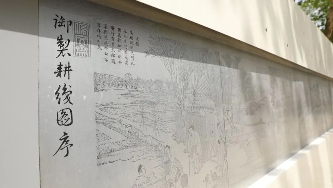稻在乡间,乡在心间!“水稻”主题空间现身海淀小区