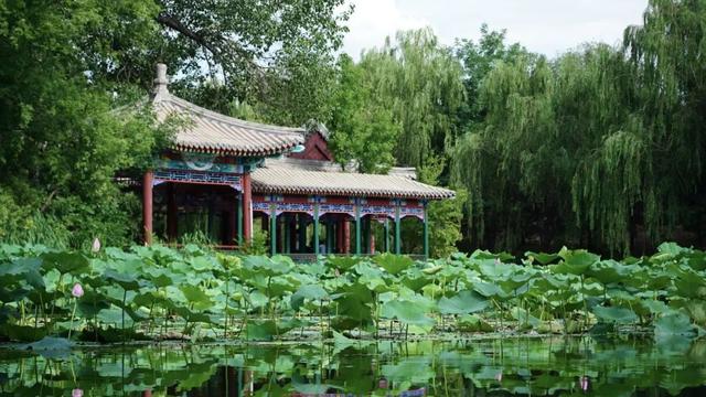 在依旧热烈的初秋，和清华相遇