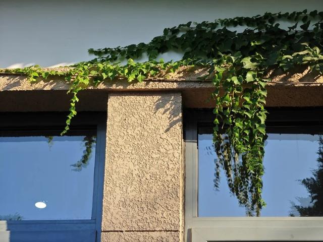 在依旧热烈的初秋，和清华相遇