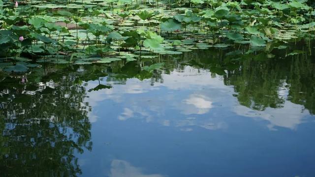 在依旧热烈的初秋，和清华相遇