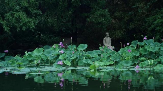 在依旧热烈的初秋，和清华相遇