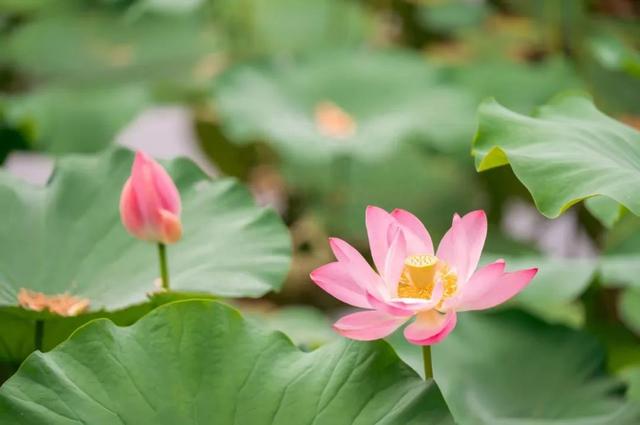 在依旧热烈的初秋，和清华相遇