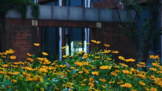 在依旧热烈的初秋，和清华相遇