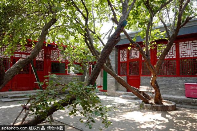 寻访鲁迅在京足迹，这些地方值得去