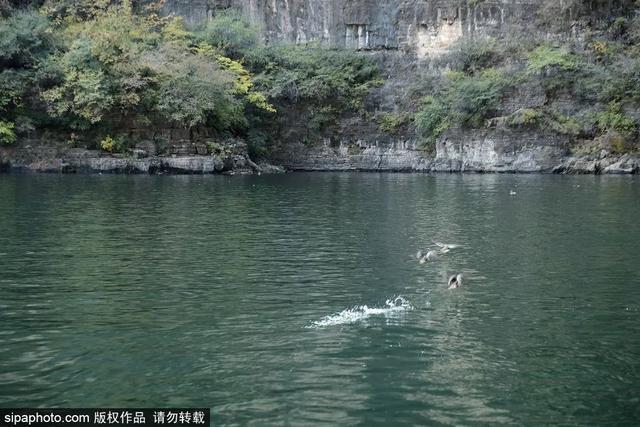 盛夏游山玩水，赏峡谷风光