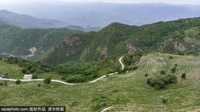 登高山草甸，感受夏日浪漫