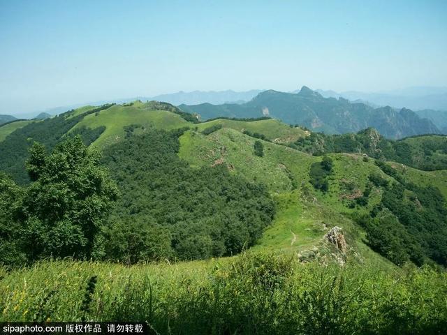 登高山草甸，感受夏日浪漫