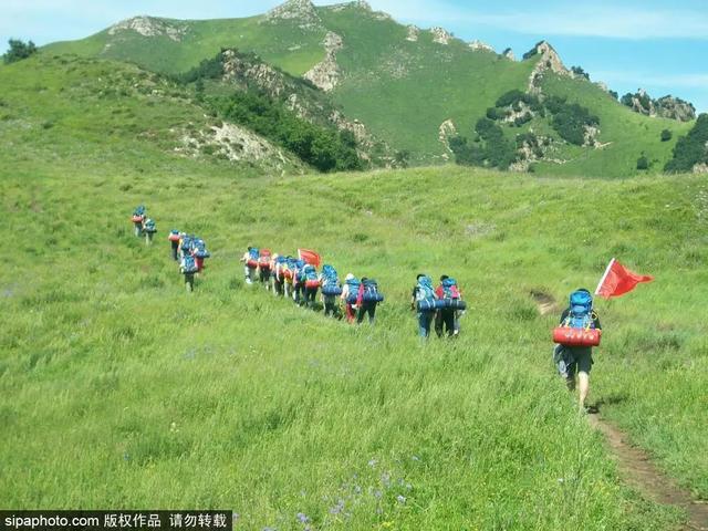 登高山草甸，感受夏日浪漫