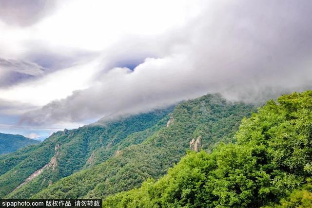 登高山草甸，感受夏日浪漫