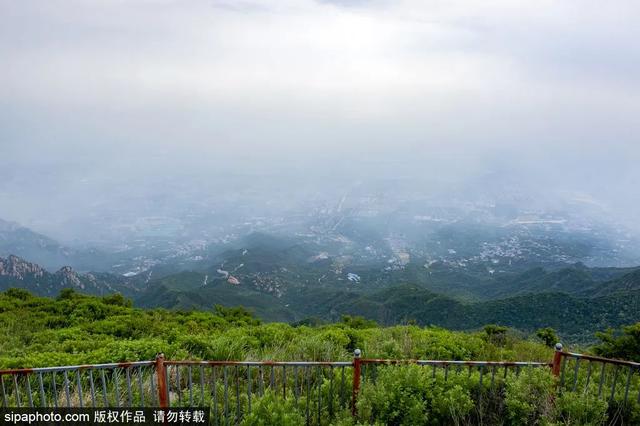 登高山草甸，感受夏日浪漫