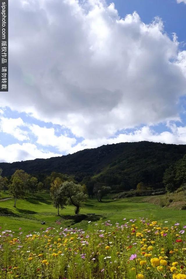 登高山草甸，感受夏日浪漫