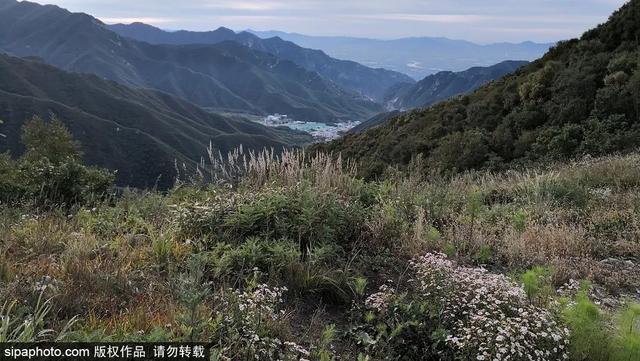 登高山草甸，感受夏日浪漫