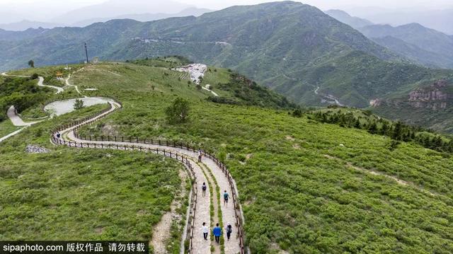 登高山草甸，感受夏日浪漫