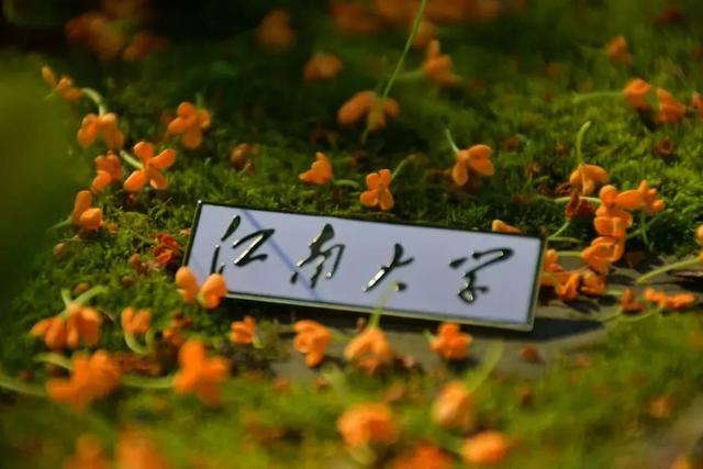 江南的第一份礼物！2023本科录取通知书抢先看！