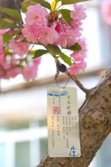 晚安故事丨青春不落幕