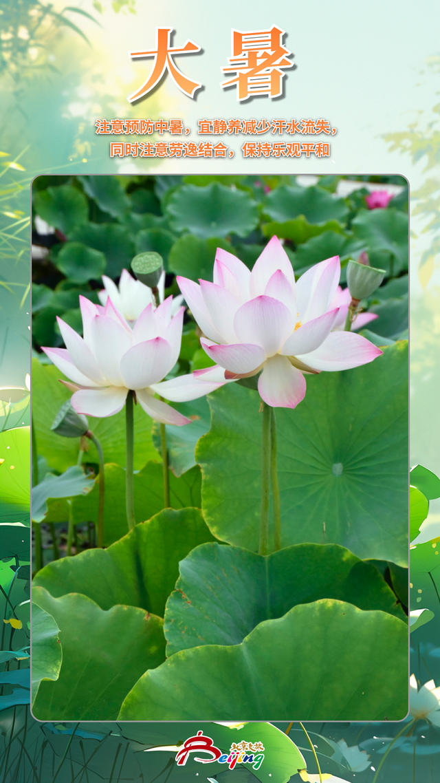 今日大暑 | 赤日几时过，清风无处寻