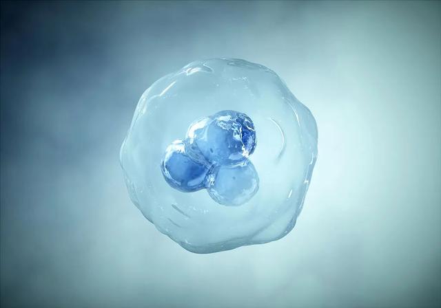 爱吃生鱼生腌、火锅七上八下？病从口入，“戊”必小心！