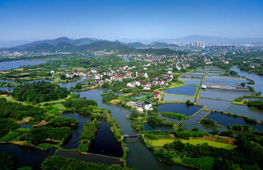 下渚湖国家湿地公园