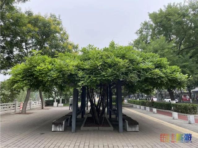 漫步京城 感受节气文化