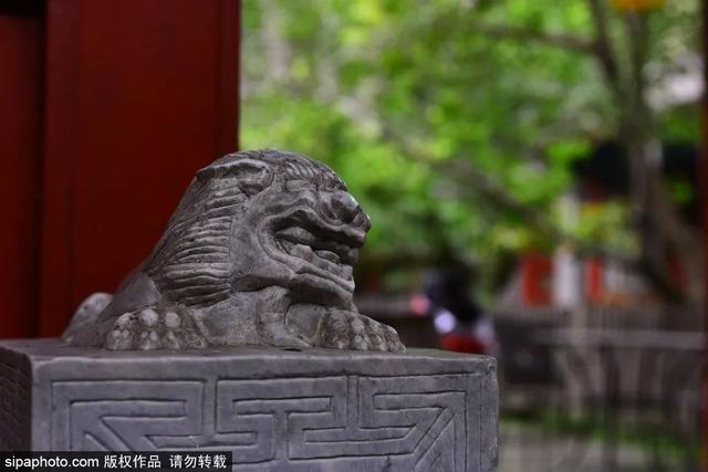 古寺寻幽，开启仲夏静心之旅
