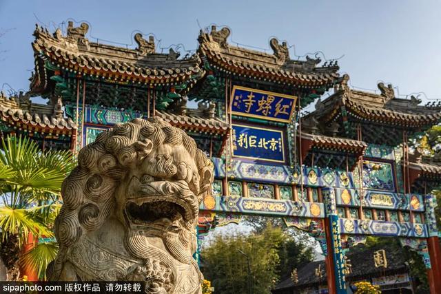 古寺寻幽，开启仲夏静心之旅
