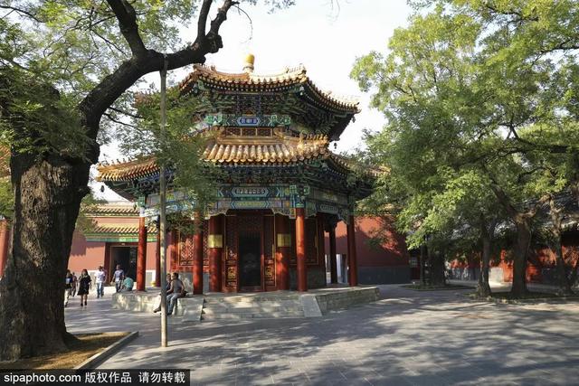 古寺寻幽，开启仲夏静心之旅