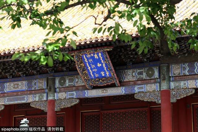 古寺寻幽，开启仲夏静心之旅