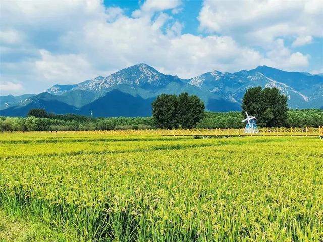 @考生们，北京这些景区有免票、降价优惠→