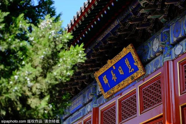 夏日悠悠，来这些博物馆寻一份静谧→