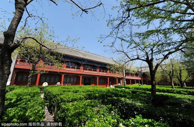 夏日悠悠，来这些博物馆寻一份静谧→