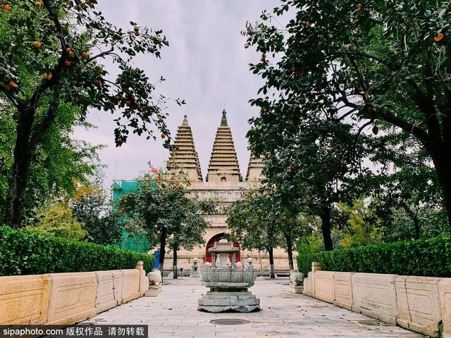 夏日悠悠，来这些博物馆寻一份静谧→