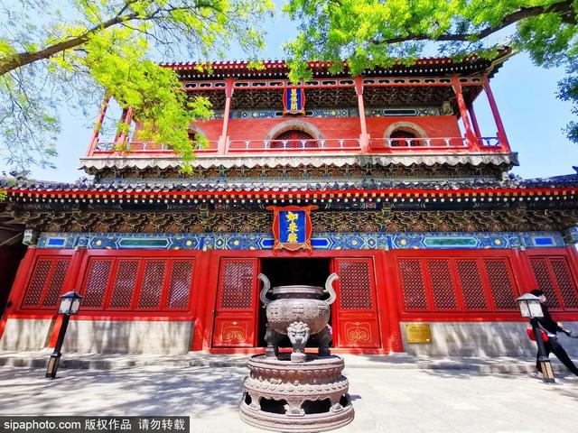 夏日悠悠，来这些博物馆寻一份静谧→
