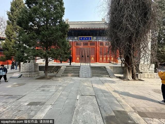 夏日悠悠，来这些博物馆寻一份静谧→