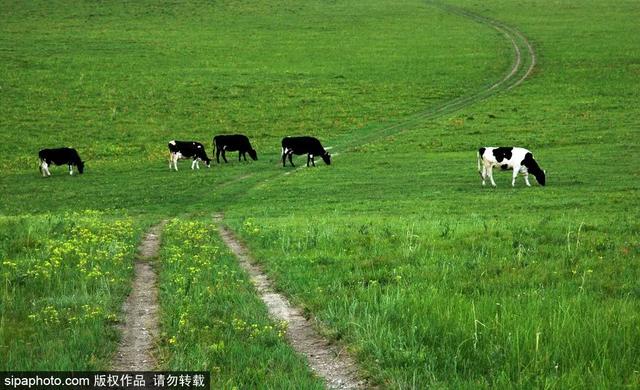 避暑好去处 | 策马草原，览塞外风光