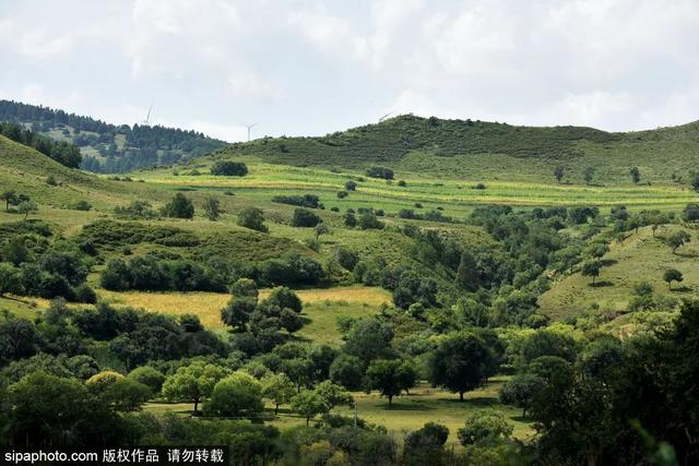 避暑好去处 | 策马草原，览塞外风光