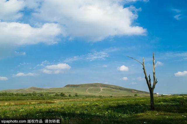 避暑好去处 | 策马草原，览塞外风光