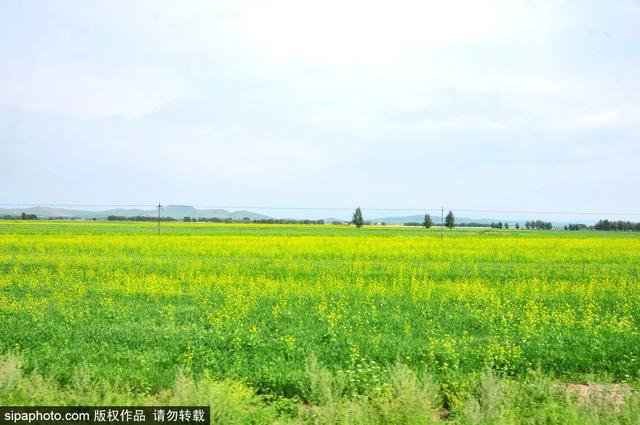 避暑好去处 | 策马草原，览塞外风光