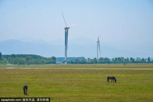 避暑好去处 | 策马草原，览塞外风光