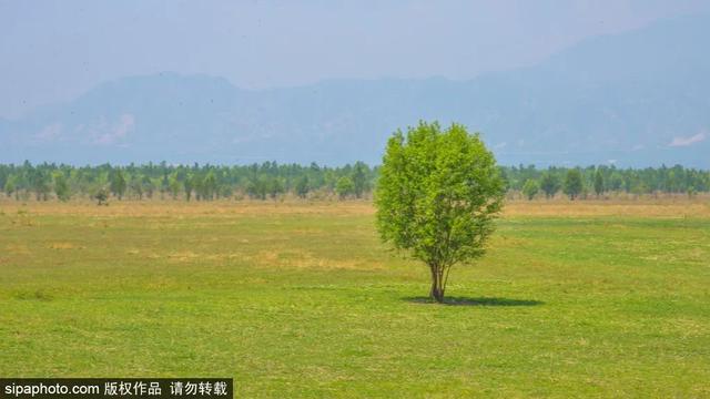 避暑好去处 | 策马草原，览塞外风光
