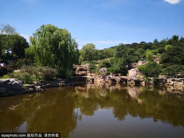 夏日森呼吸（上） | 徜徉“绿色海洋”之旅