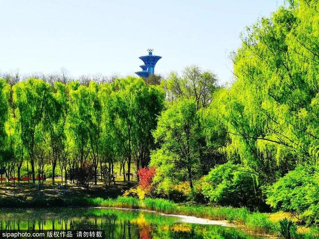 初夏时节，京城这些公园内<span id=