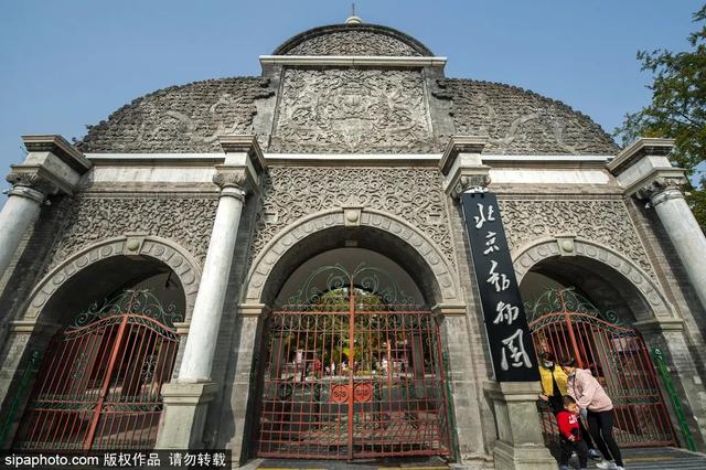 划船、赏花、遇见小动物，尽情享受初夏时光