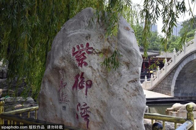 划船、赏花、遇见小动物，尽情享受初夏时光
