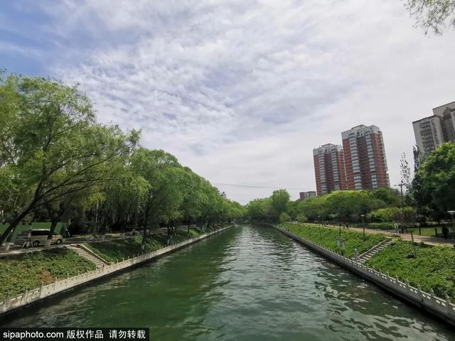 划船、赏花、遇见小动物，尽情享受初夏时光