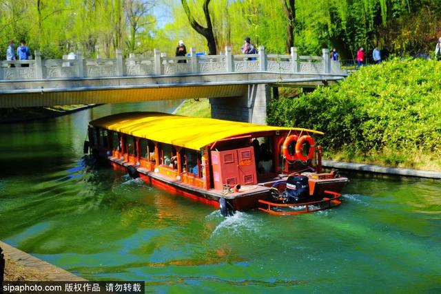 划船、赏花、遇见小动物，尽情享受初夏时光