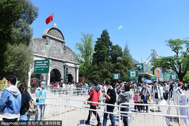 划船、赏花、遇见小动物，尽情享受初夏时光