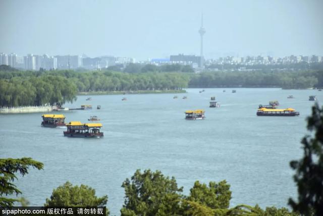 划船、赏花、遇见小动物，尽情享受初夏时光