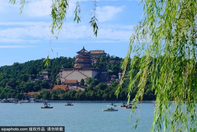 划船、赏花、遇见小动物，尽情享受初夏时光
