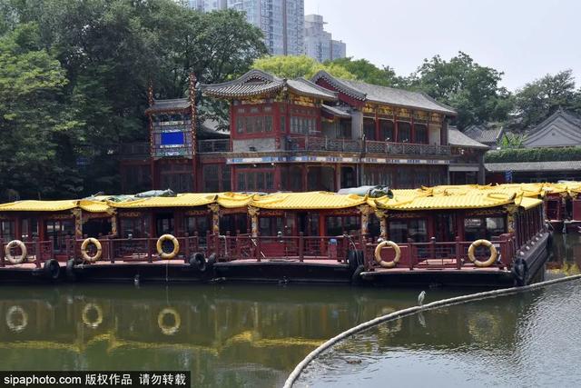 划船、赏花、遇见小动物，尽情享受初夏时光